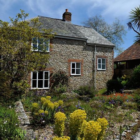 Trill Cottage Musbury Bagian luar foto