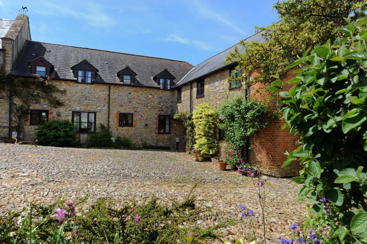 Trill Cottage Musbury Bagian luar foto
