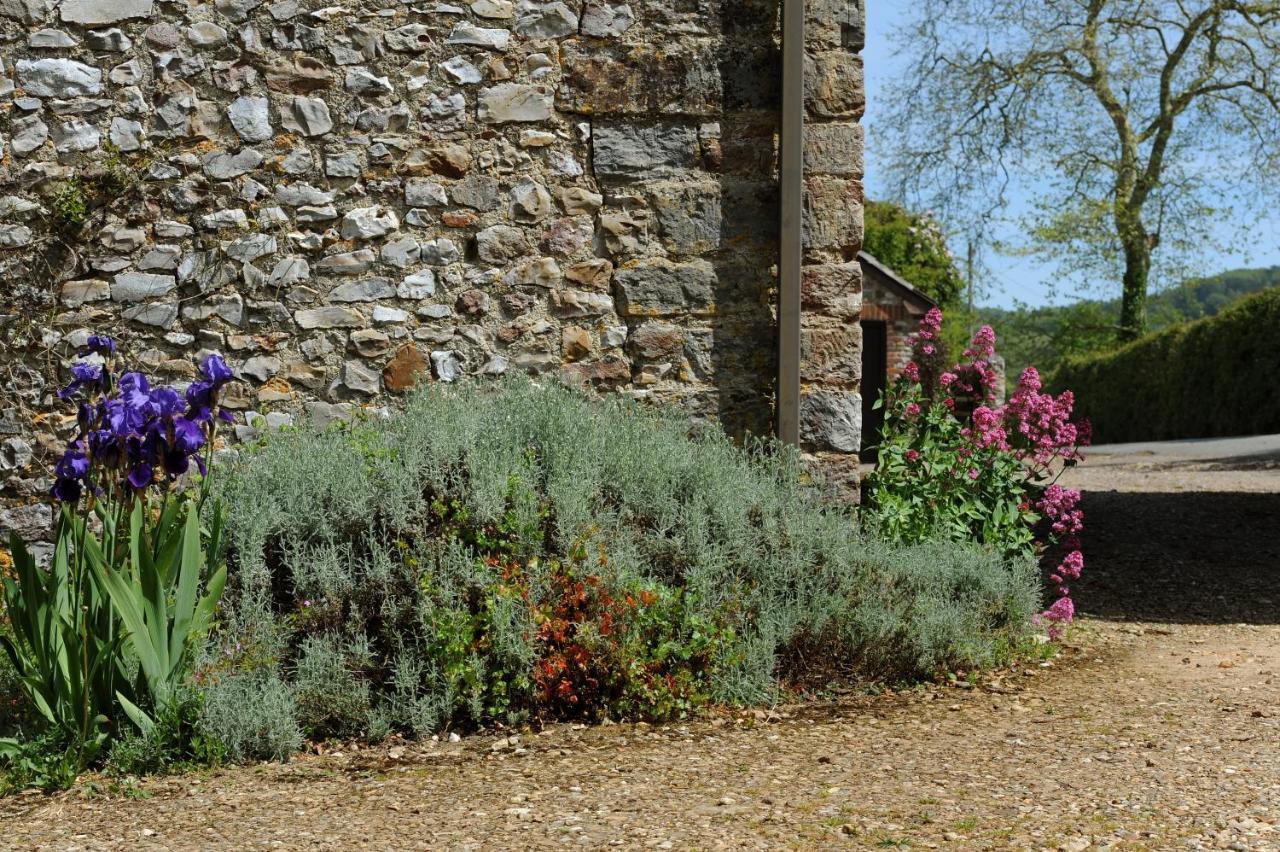 Trill Cottage Musbury Bagian luar foto