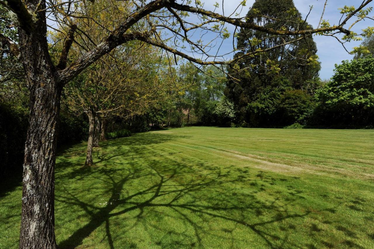 Trill Cottage Musbury Bagian luar foto