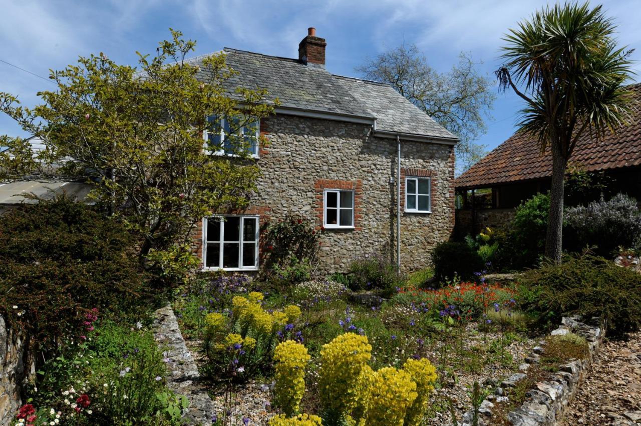 Trill Cottage Musbury Bagian luar foto